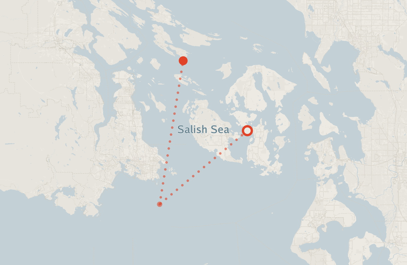Activity map — real sighting points on an OpenStreetMap basemap