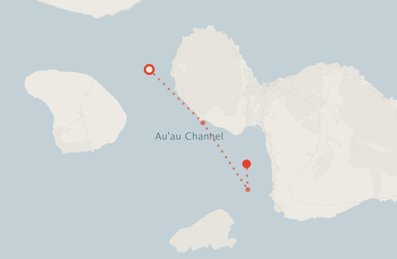 Activity map — real sighting points on an OpenStreetMap basemap