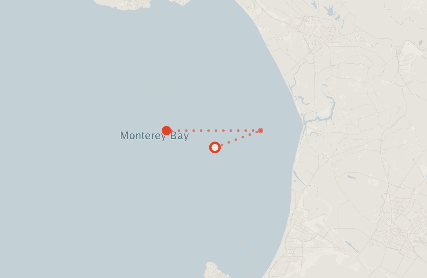 Activity map — real sighting points on an OpenStreetMap basemap