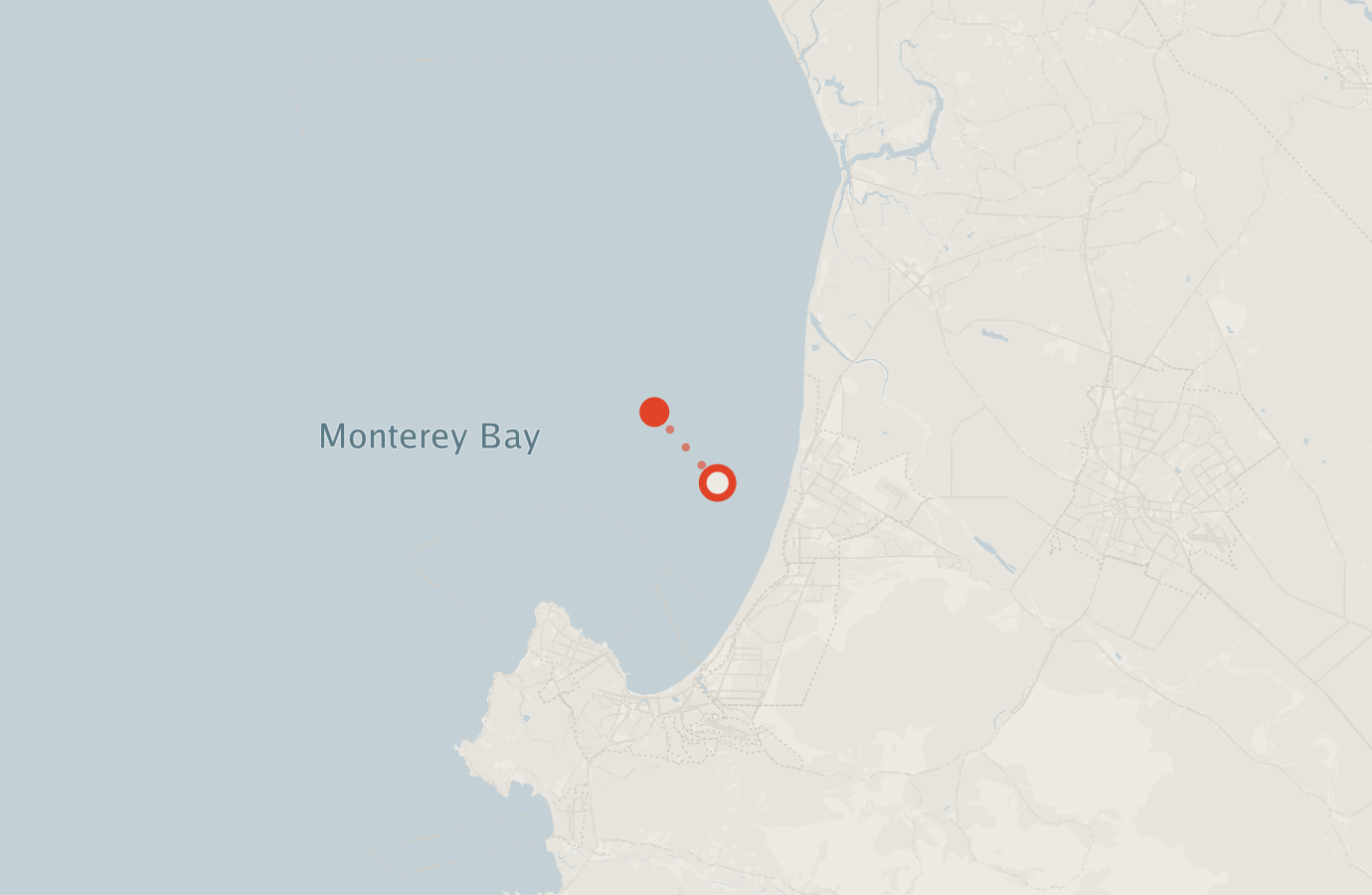 Activity map — real sighting points on an OpenStreetMap basemap