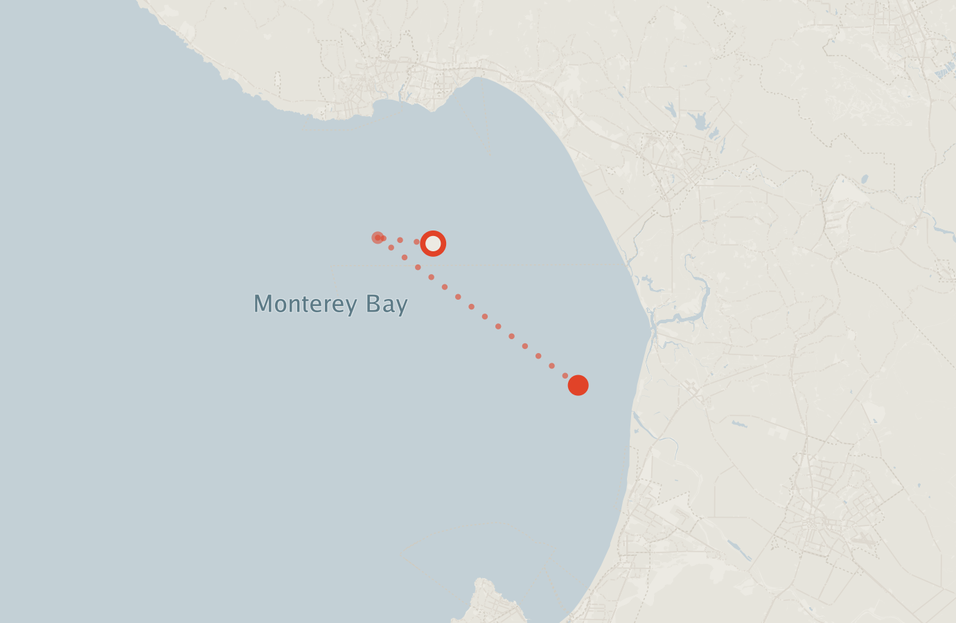 Activity map — real sighting points on an OpenStreetMap basemap