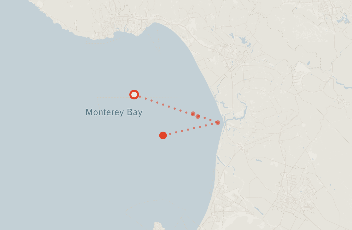 Activity map — real sighting points on an OpenStreetMap basemap