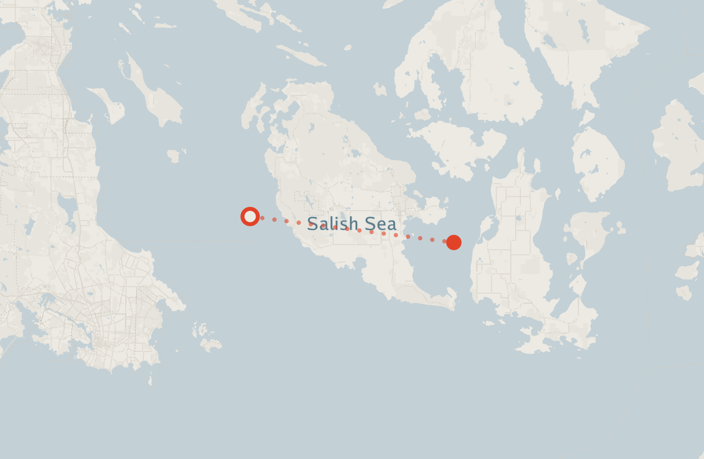 Activity map — real sighting points on an OpenStreetMap basemap