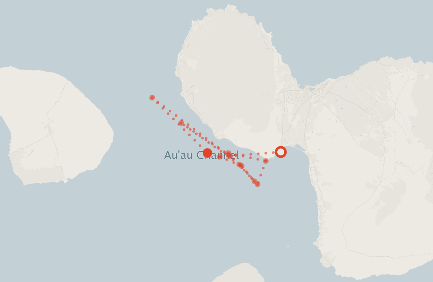 Activity map — real sighting points on an OpenStreetMap basemap