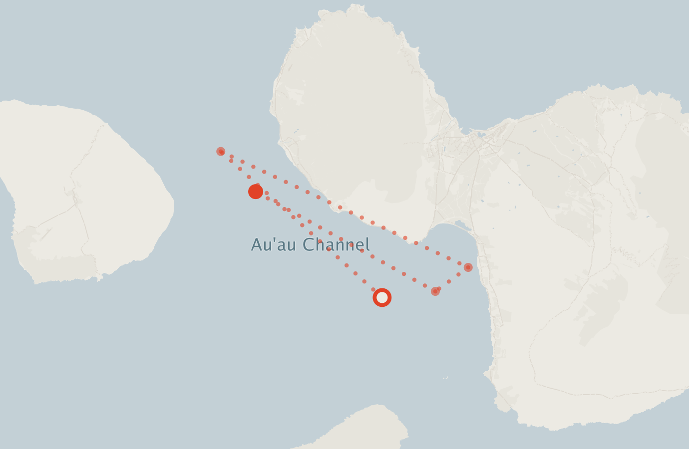 Activity map — real sighting points on an OpenStreetMap basemap