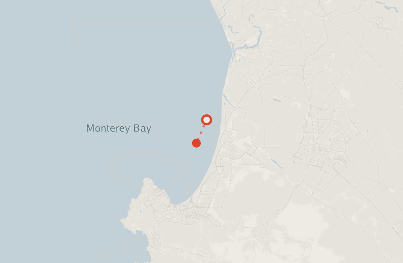 Activity map — real sighting points on an OpenStreetMap basemap