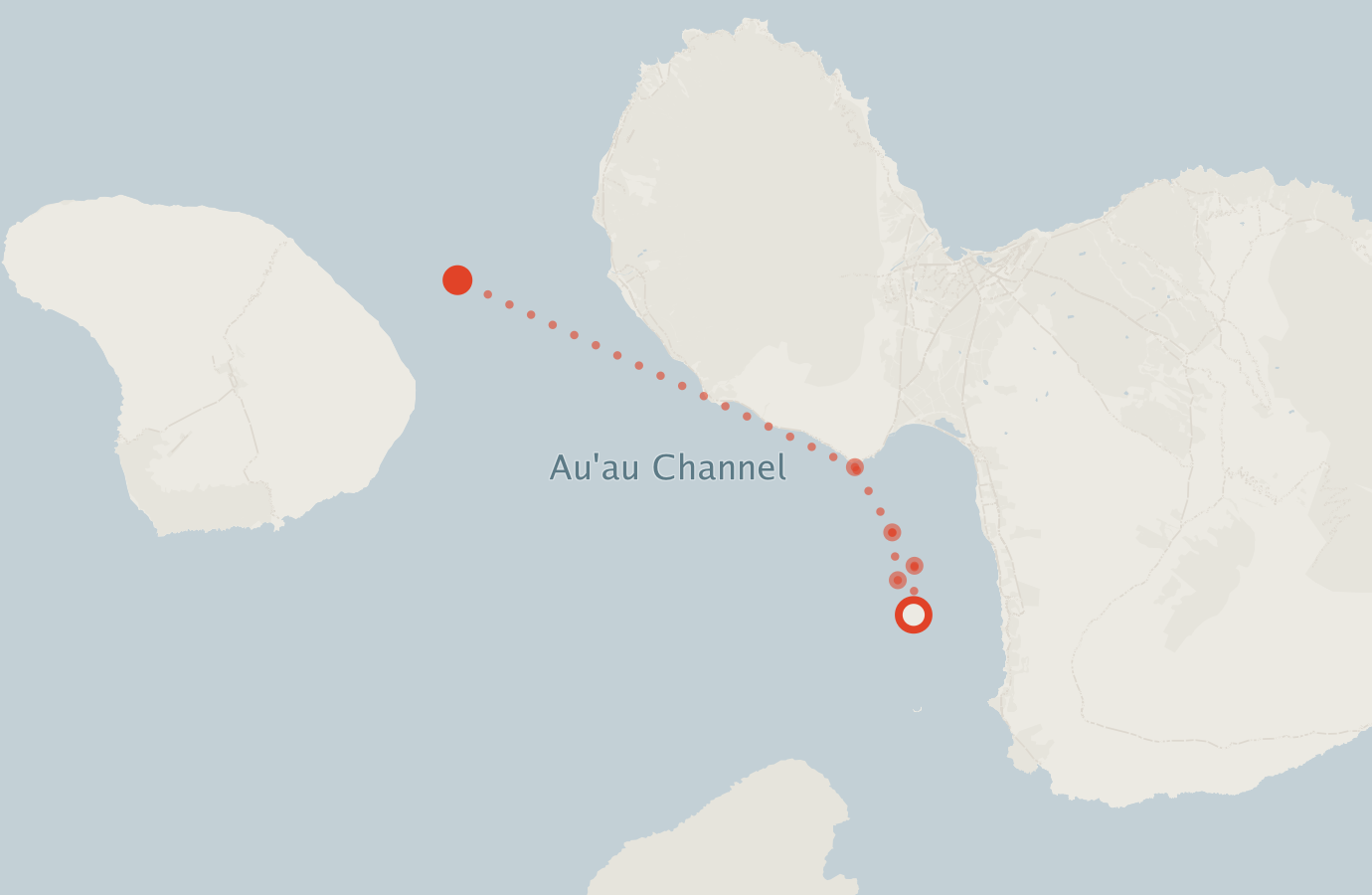 Activity map — real sighting points on an OpenStreetMap basemap