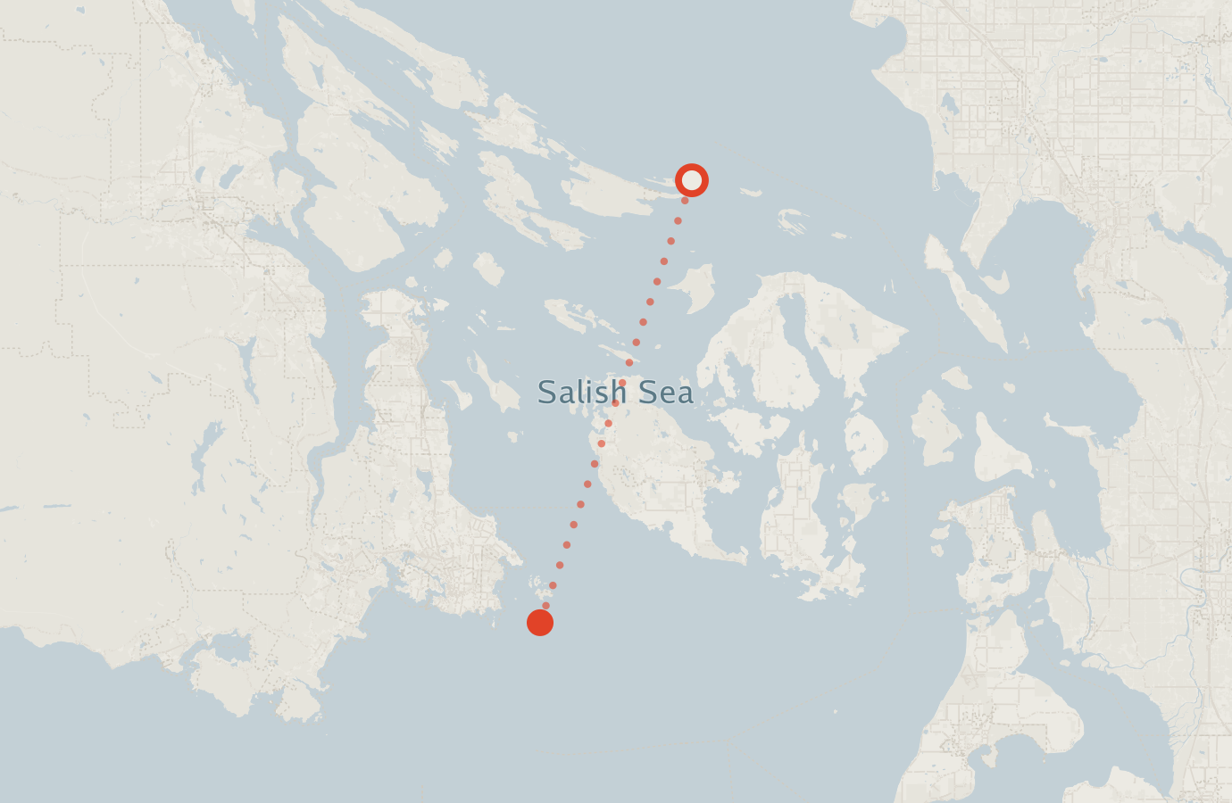 Activity map — real sighting points on an OpenStreetMap basemap