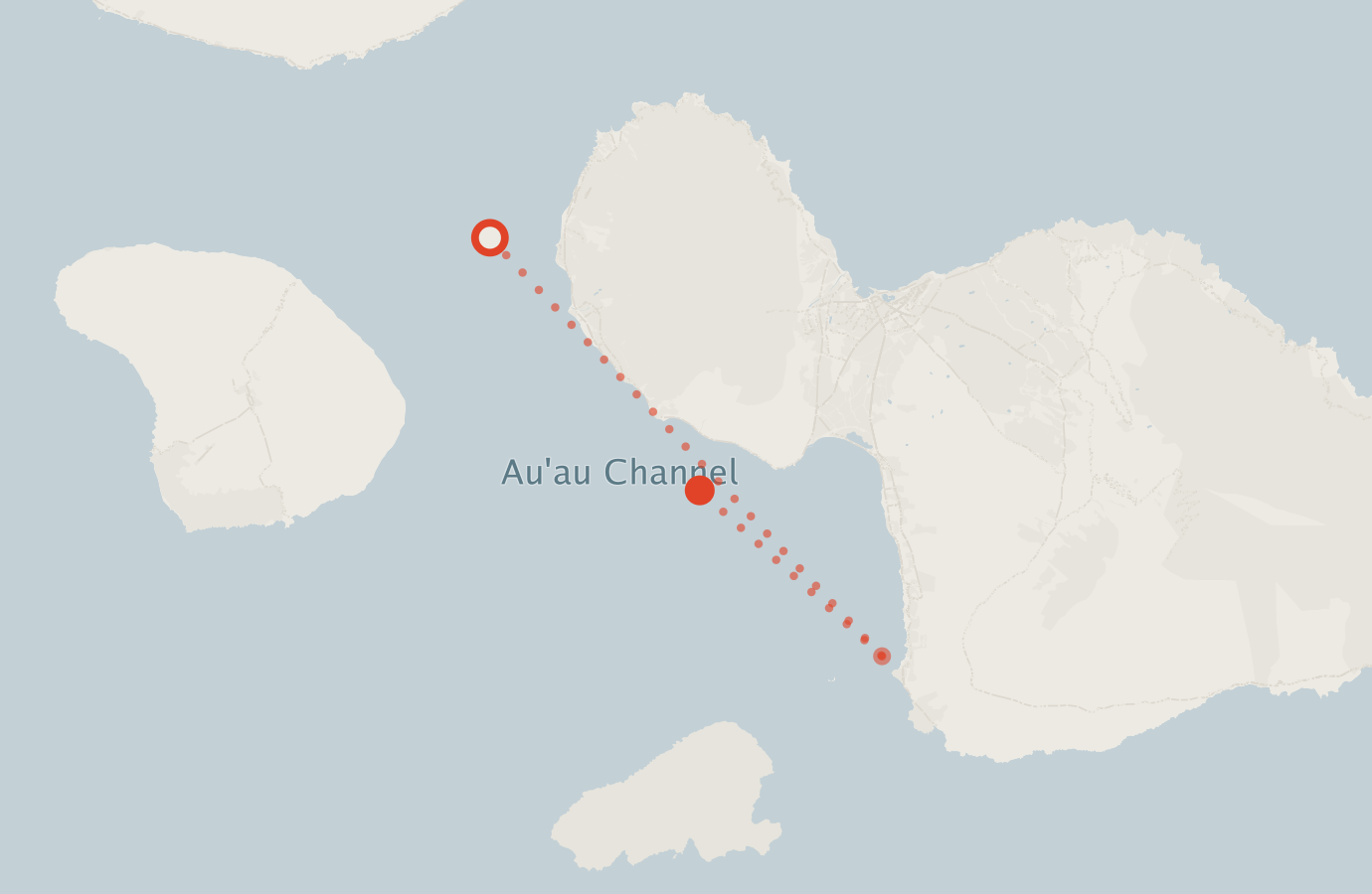 Activity map — real sighting points on an OpenStreetMap basemap