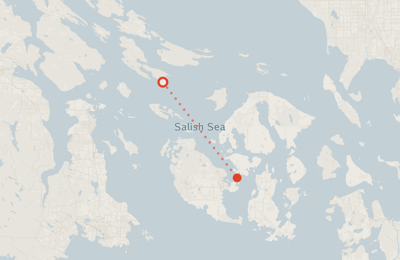 Activity map — real sighting points on an OpenStreetMap basemap