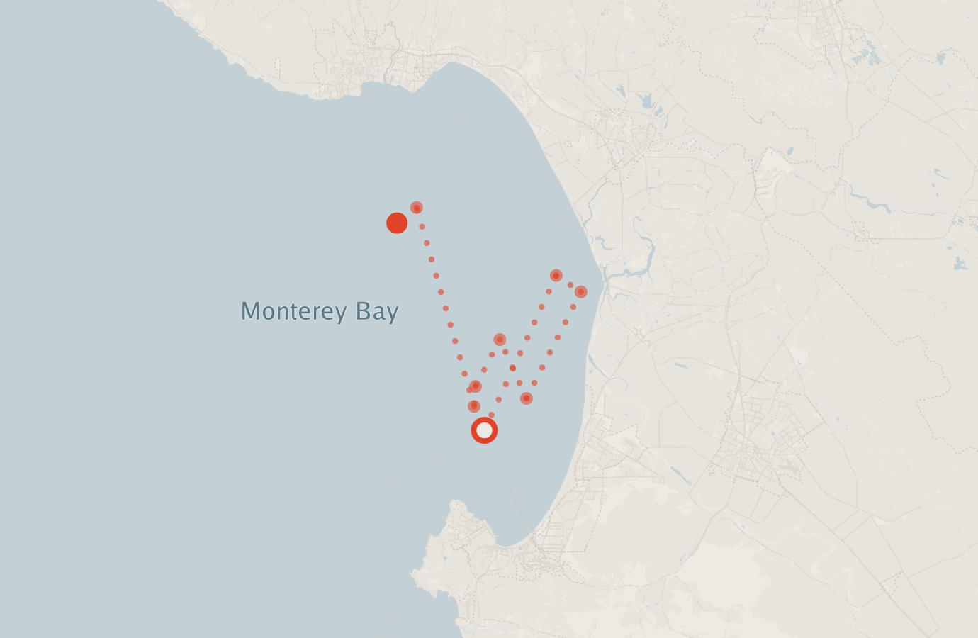 Activity map — real sighting points on an OpenStreetMap basemap