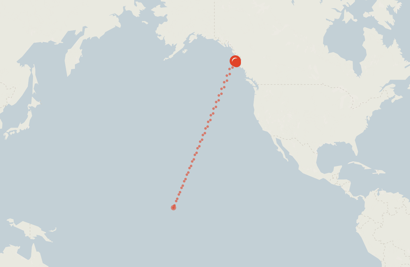 Activity map — real sighting points on an OpenStreetMap basemap