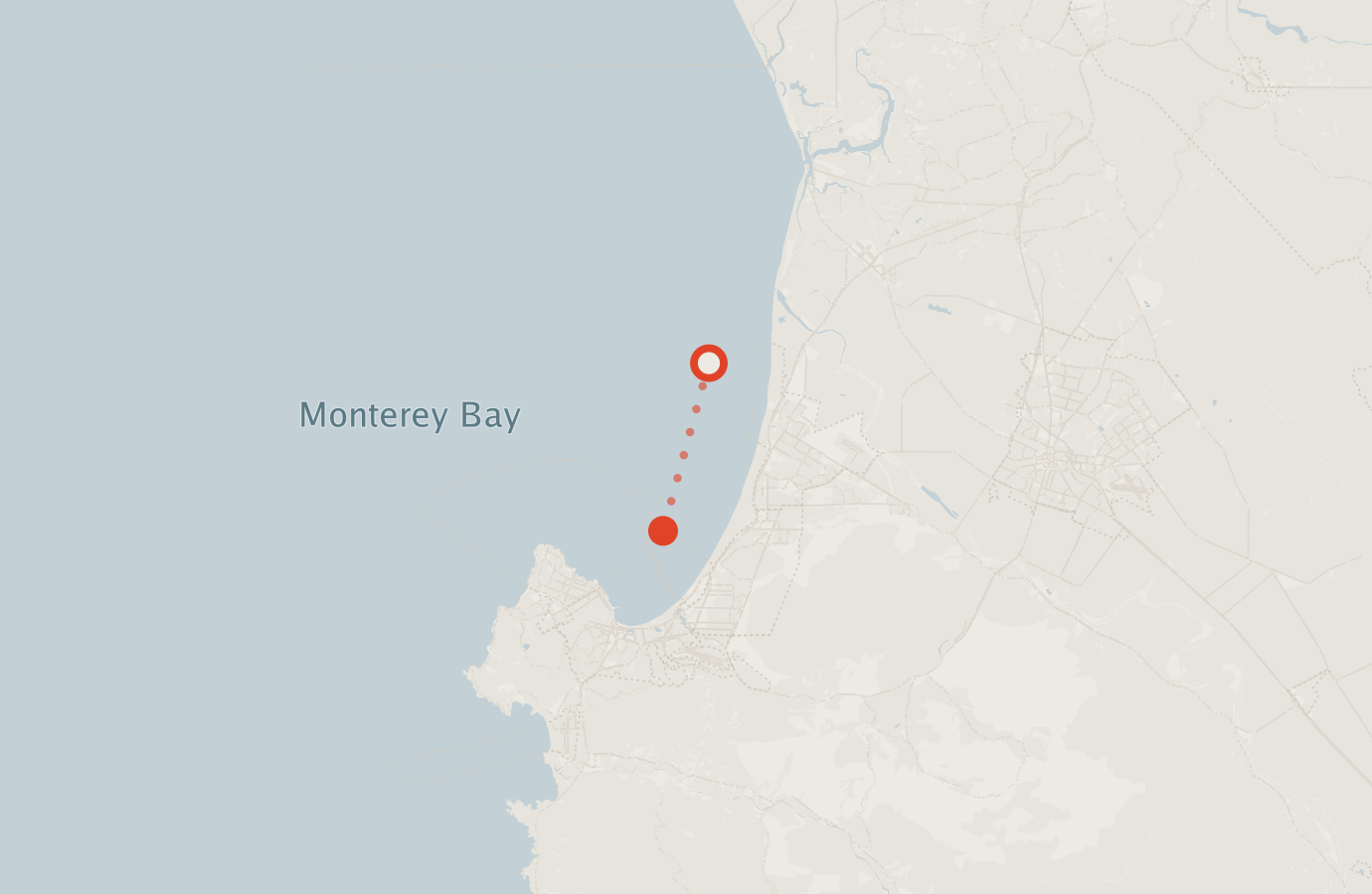 Activity map — real sighting points on an OpenStreetMap basemap