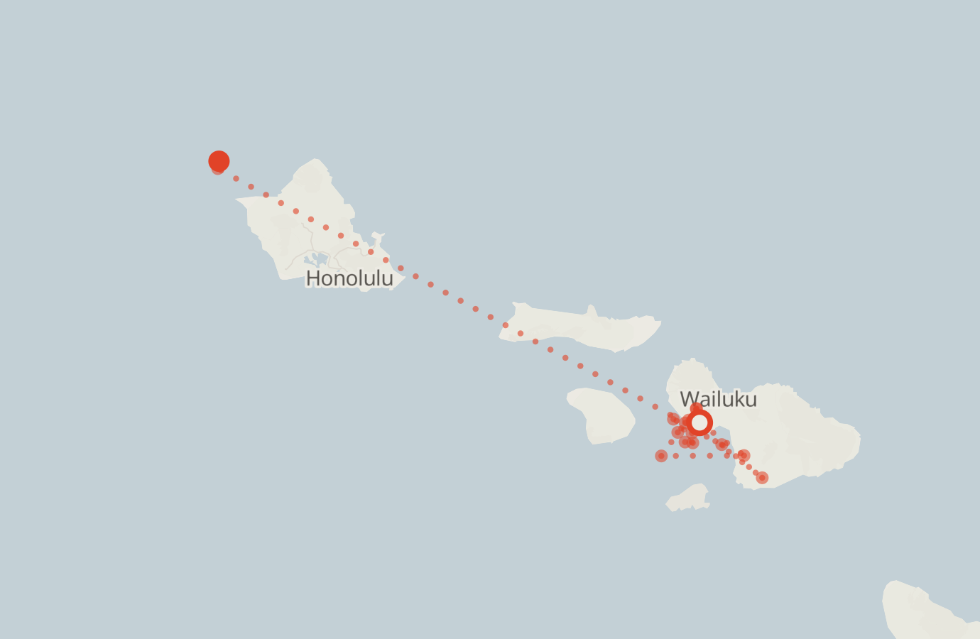 Activity map — real sighting points on an OpenStreetMap basemap