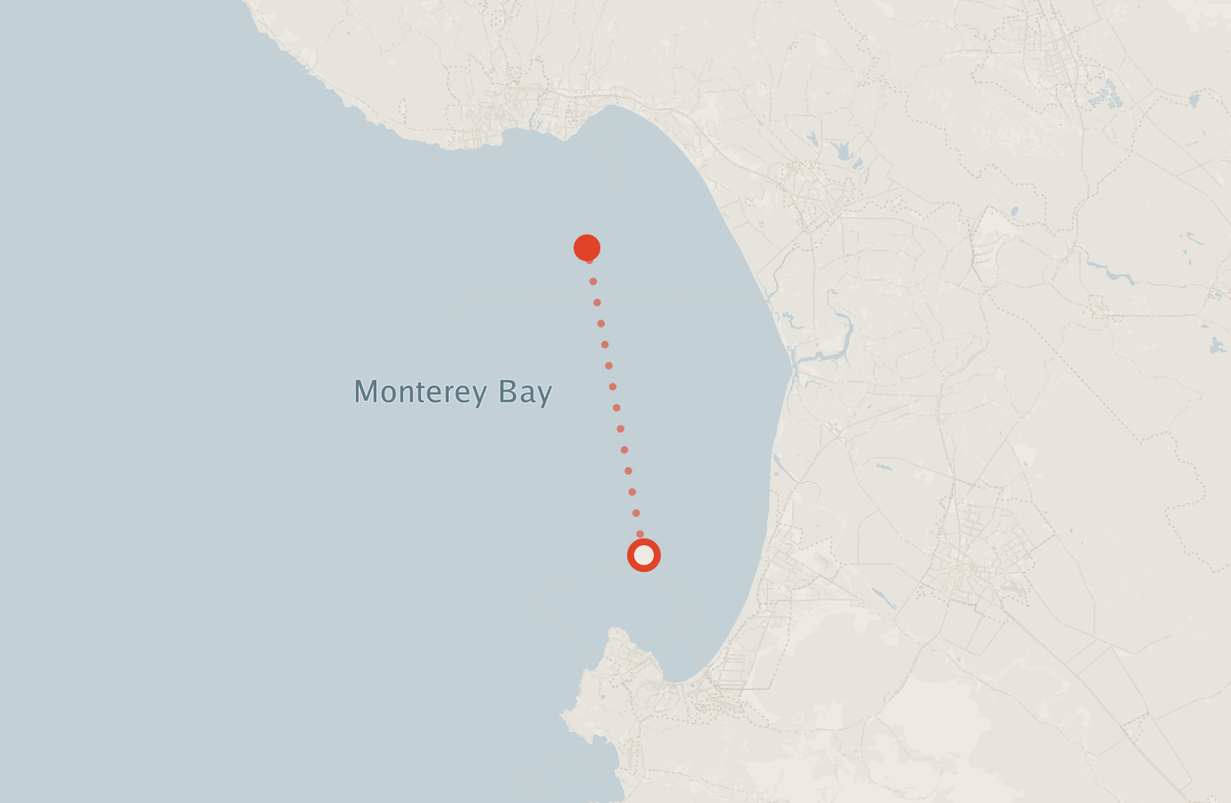 Activity map — real sighting points on an OpenStreetMap basemap