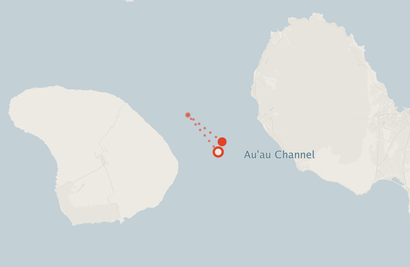 Activity map — real sighting points on an OpenStreetMap basemap