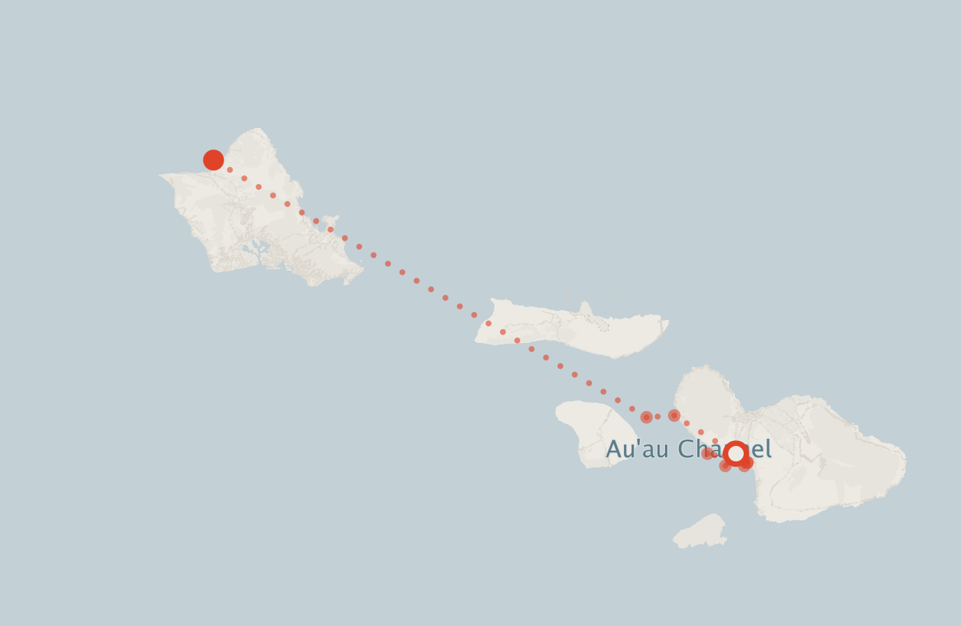 Activity map — real sighting points on an OpenStreetMap basemap