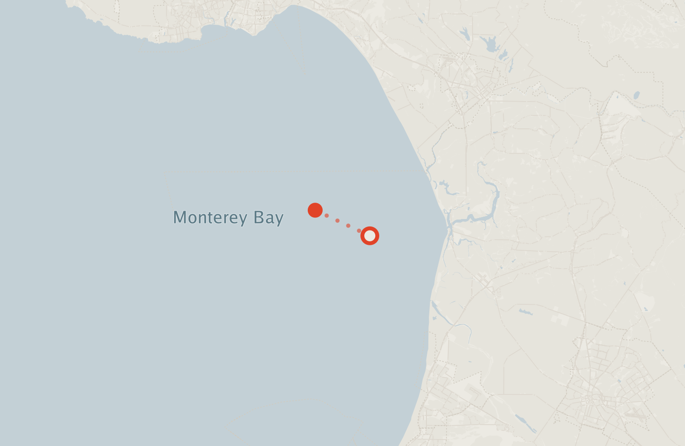 Activity map — real sighting points on an OpenStreetMap basemap