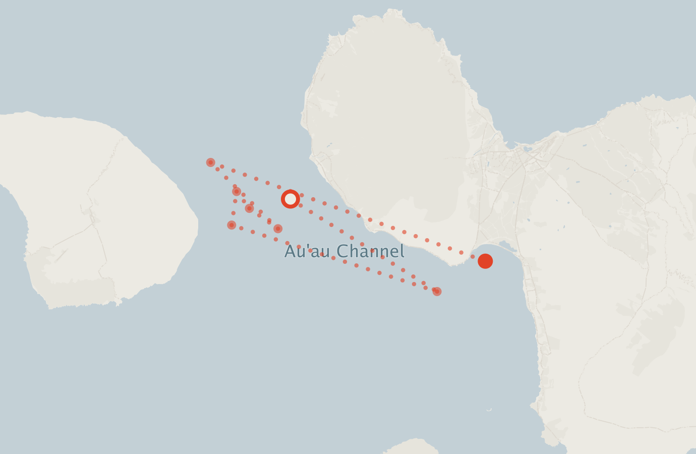 Activity map — real sighting points on an OpenStreetMap basemap