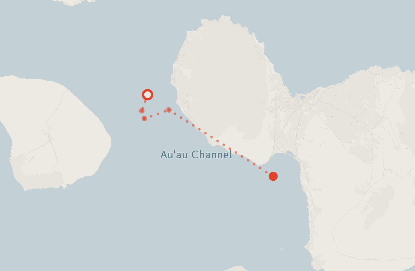 Activity map — real sighting points on an OpenStreetMap basemap