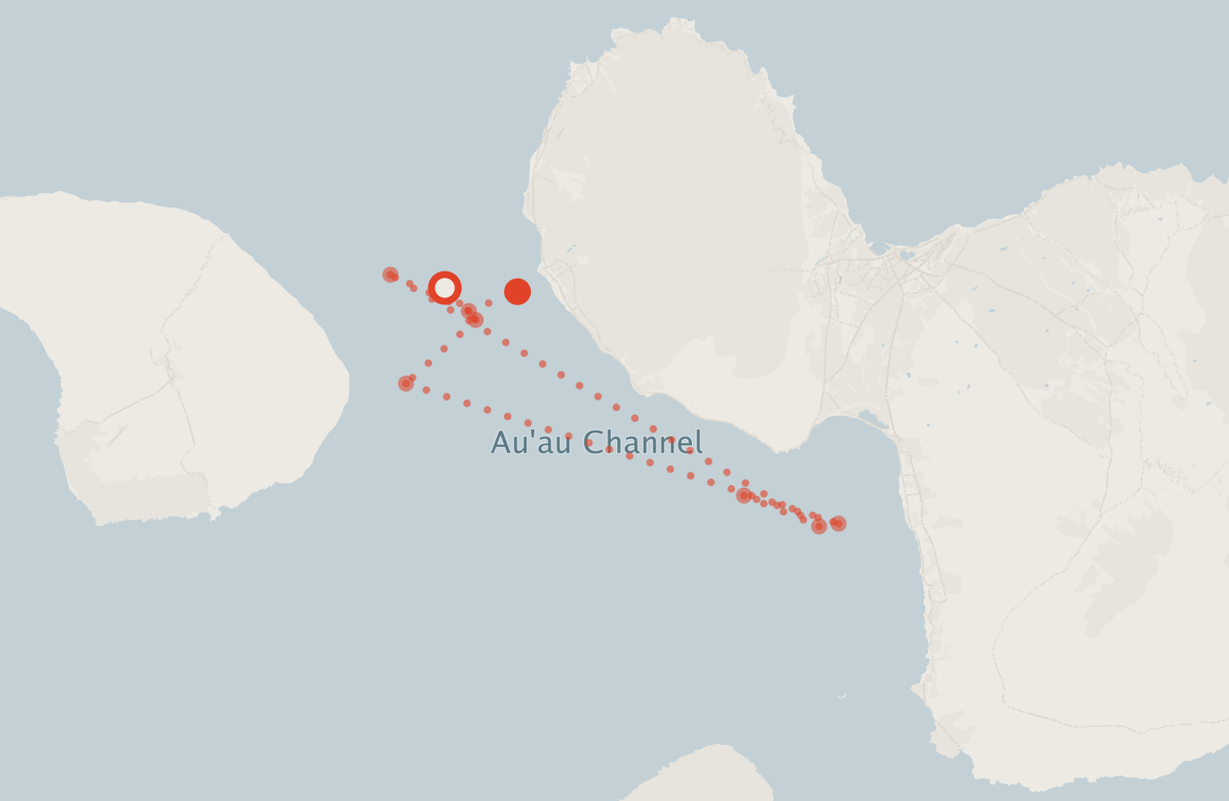 Activity map — real sighting points on an OpenStreetMap basemap