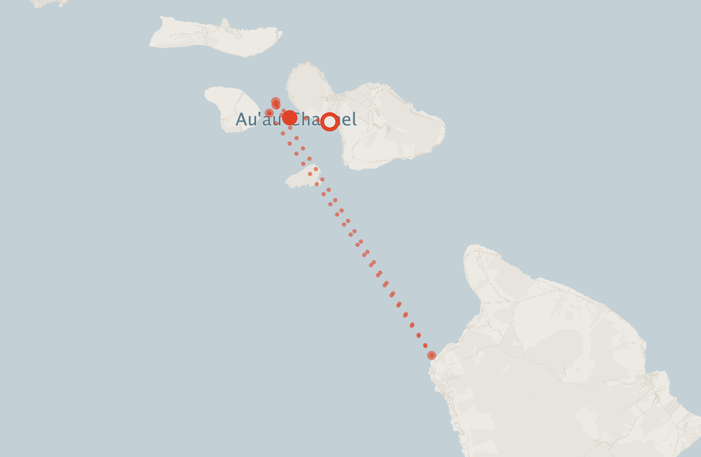 Activity map — real sighting points on an OpenStreetMap basemap