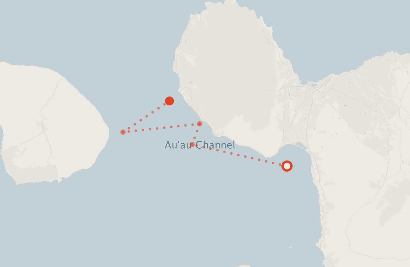 Activity map — real sighting points on an OpenStreetMap basemap