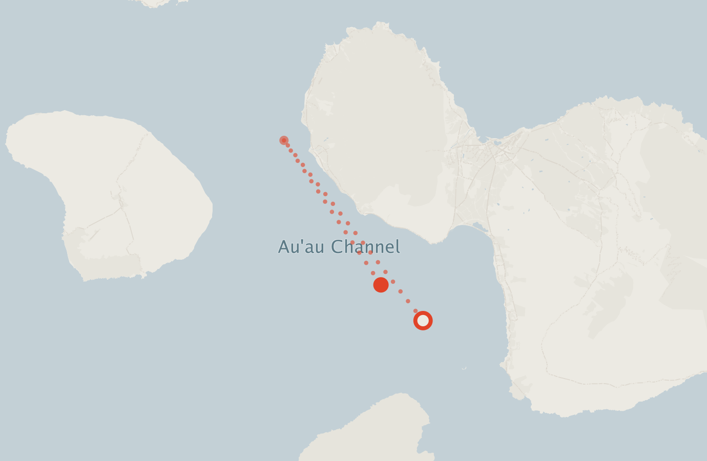 Activity map — real sighting points on an OpenStreetMap basemap