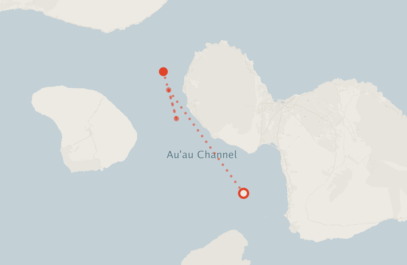 Activity map — real sighting points on an OpenStreetMap basemap
