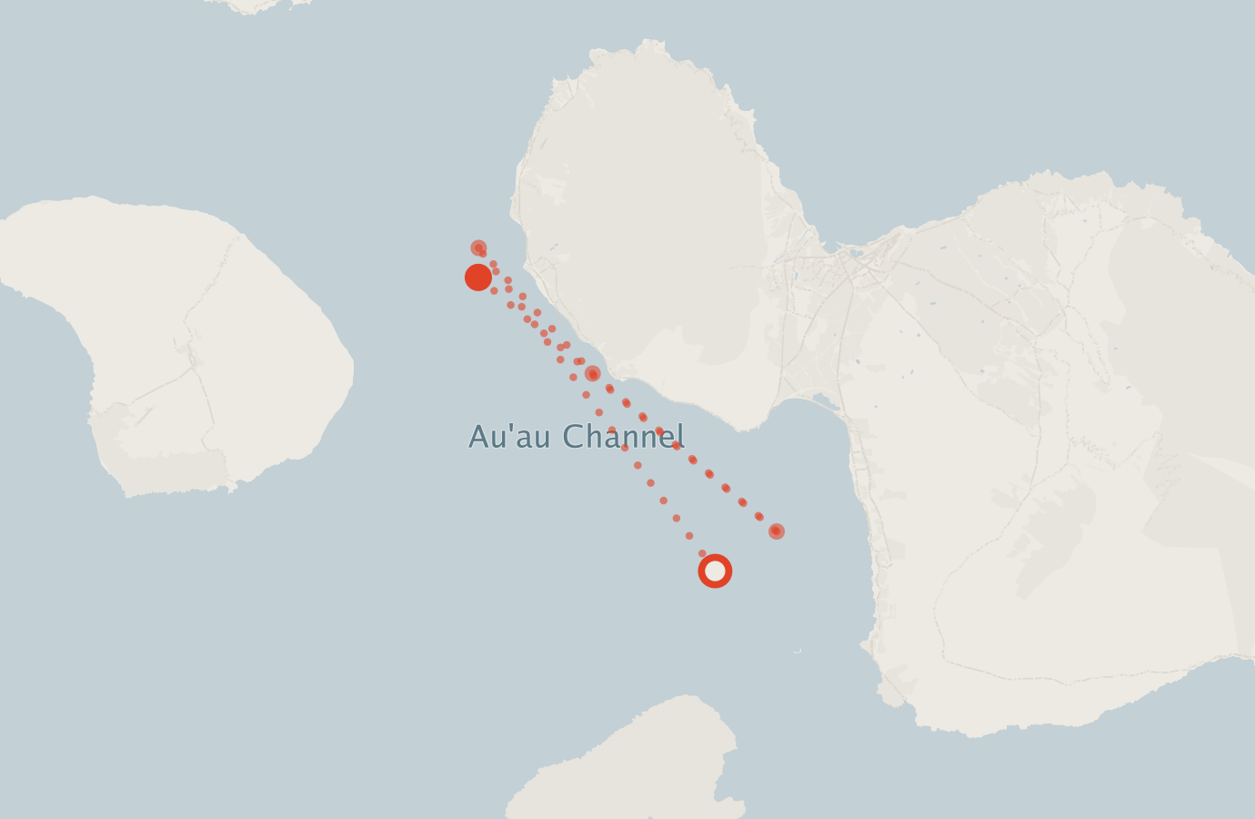 Activity map — real sighting points on an OpenStreetMap basemap