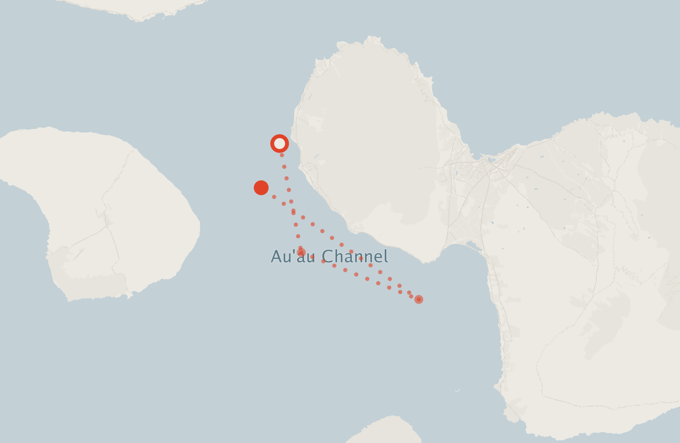 Activity map — real sighting points on an OpenStreetMap basemap