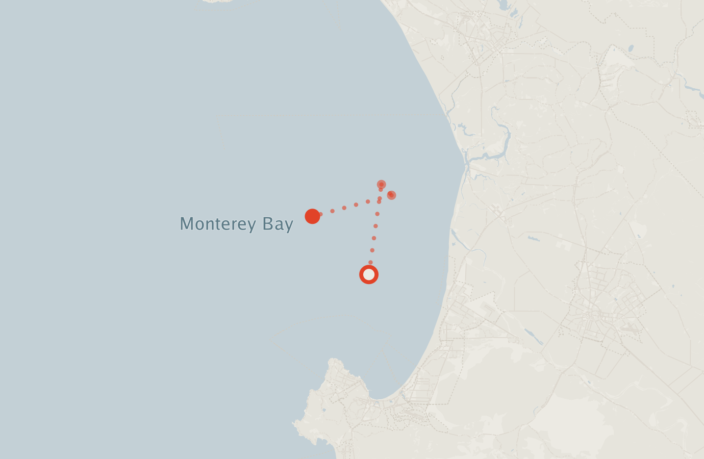 Activity map — real sighting points on an OpenStreetMap basemap