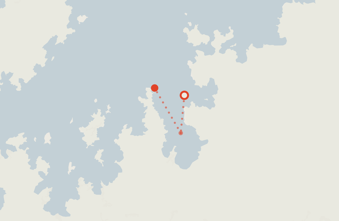 Activity map — real sighting points on an OpenStreetMap basemap