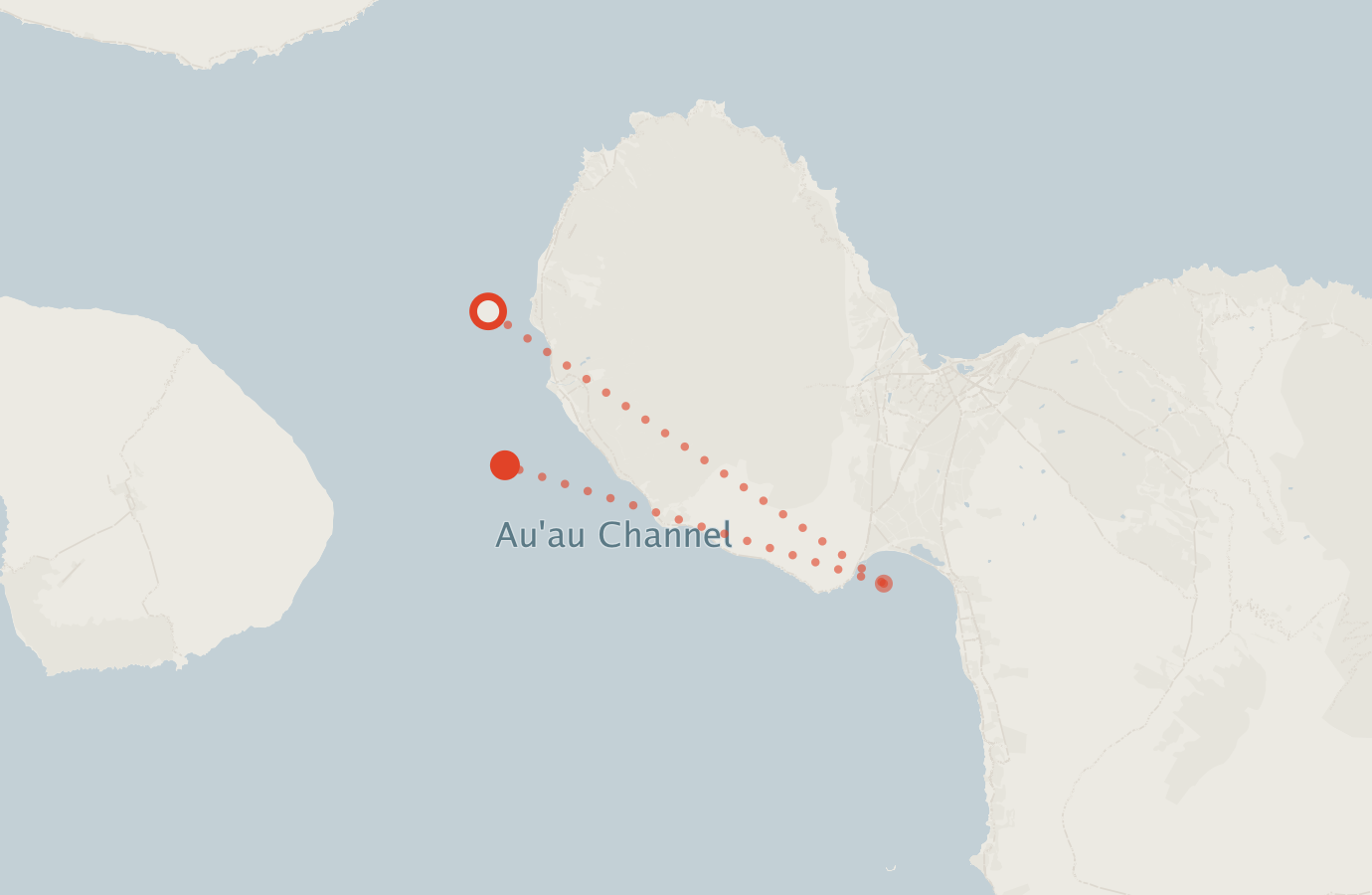 Activity map — real sighting points on an OpenStreetMap basemap