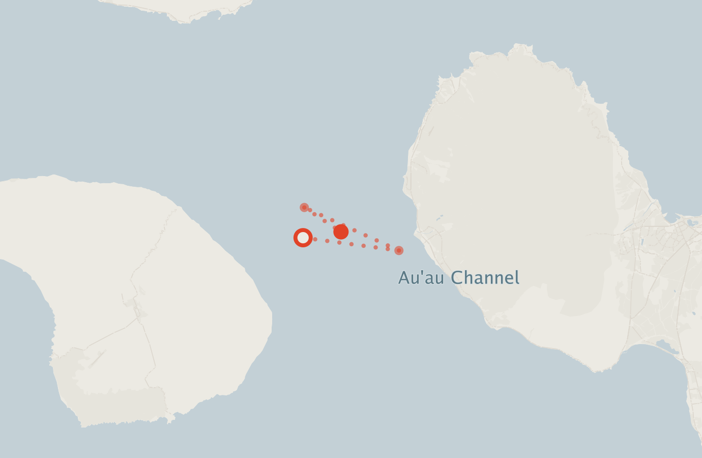 Activity map — real sighting points on an OpenStreetMap basemap