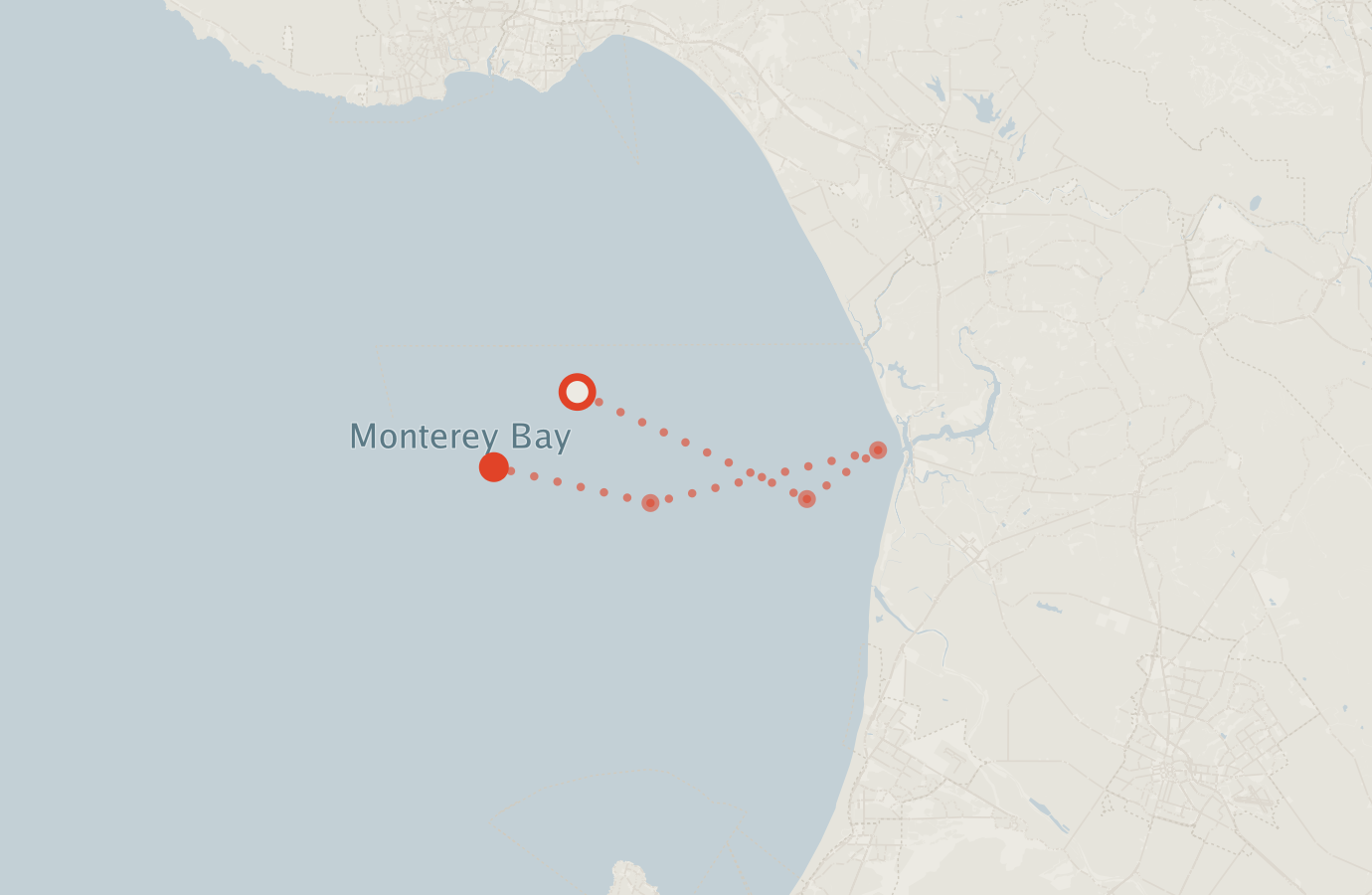 Activity map — real sighting points on an OpenStreetMap basemap