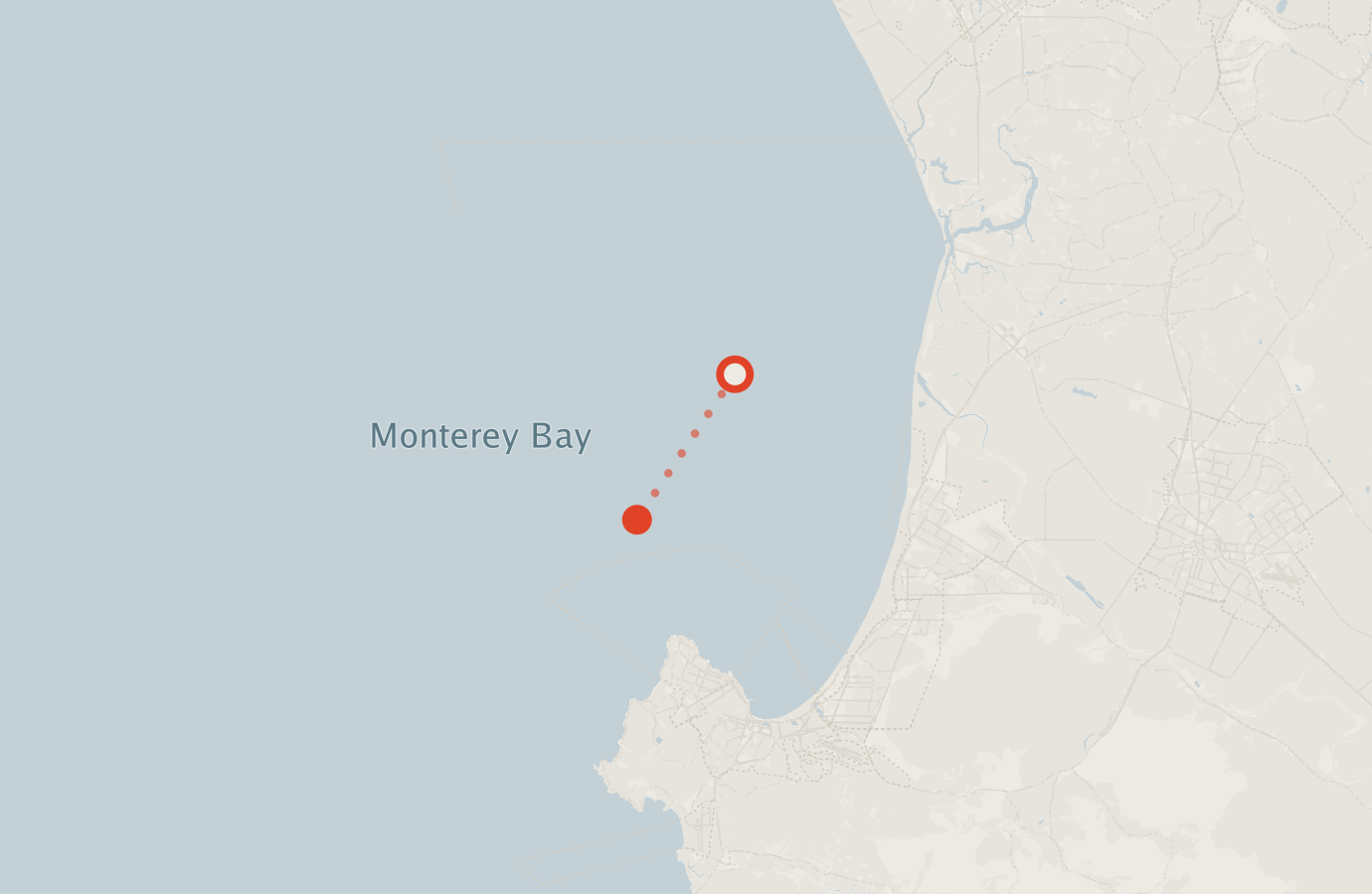 Activity map — real sighting points on an OpenStreetMap basemap