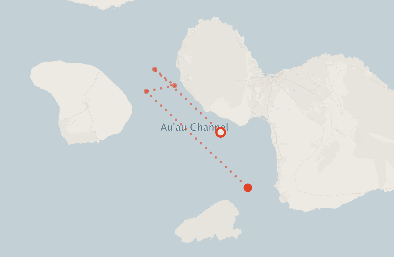 Activity map — real sighting points on an OpenStreetMap basemap