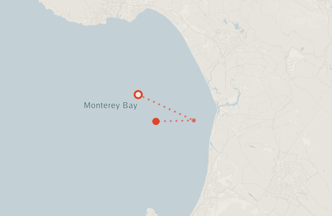 Activity map — real sighting points on an OpenStreetMap basemap