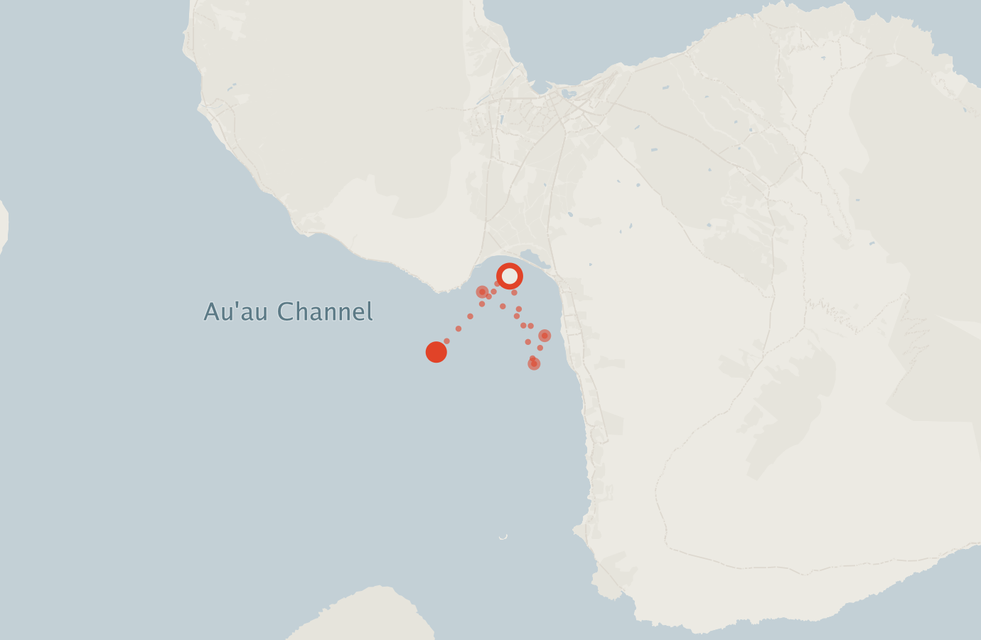 Activity map — real sighting points on an OpenStreetMap basemap