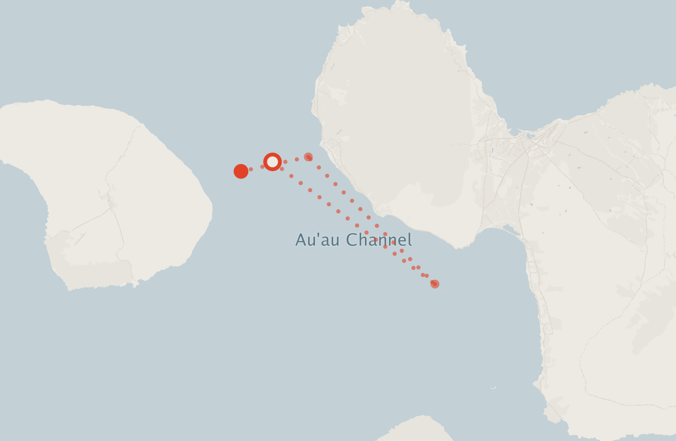 Activity map — real sighting points on an OpenStreetMap basemap
