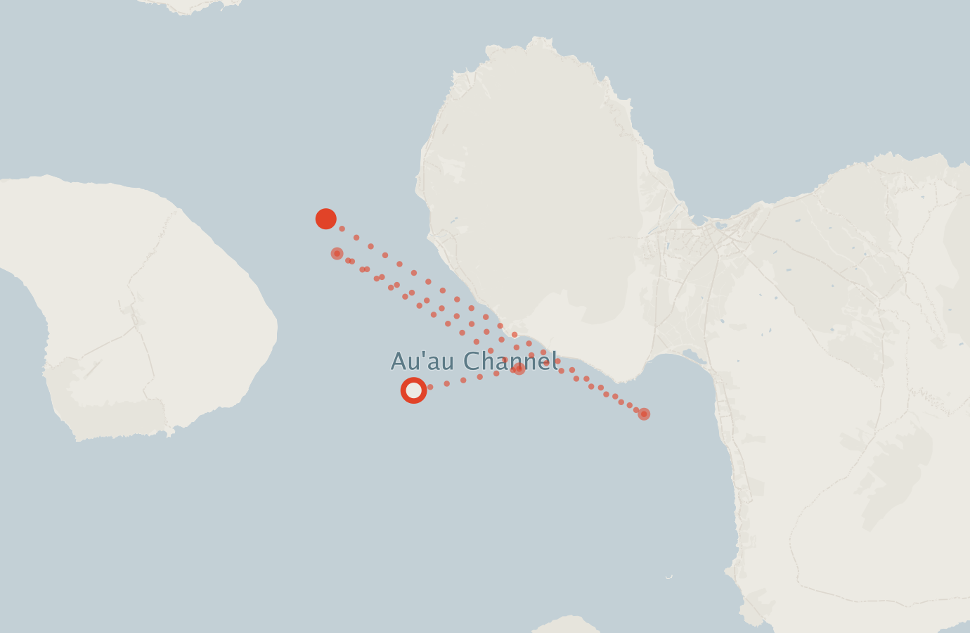 Activity map — real sighting points on an OpenStreetMap basemap