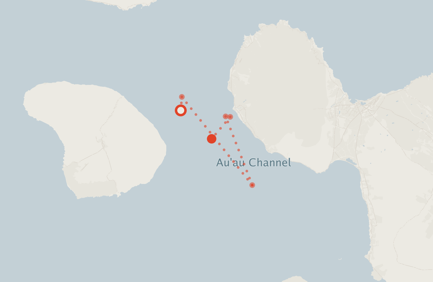 Activity map — real sighting points on an OpenStreetMap basemap