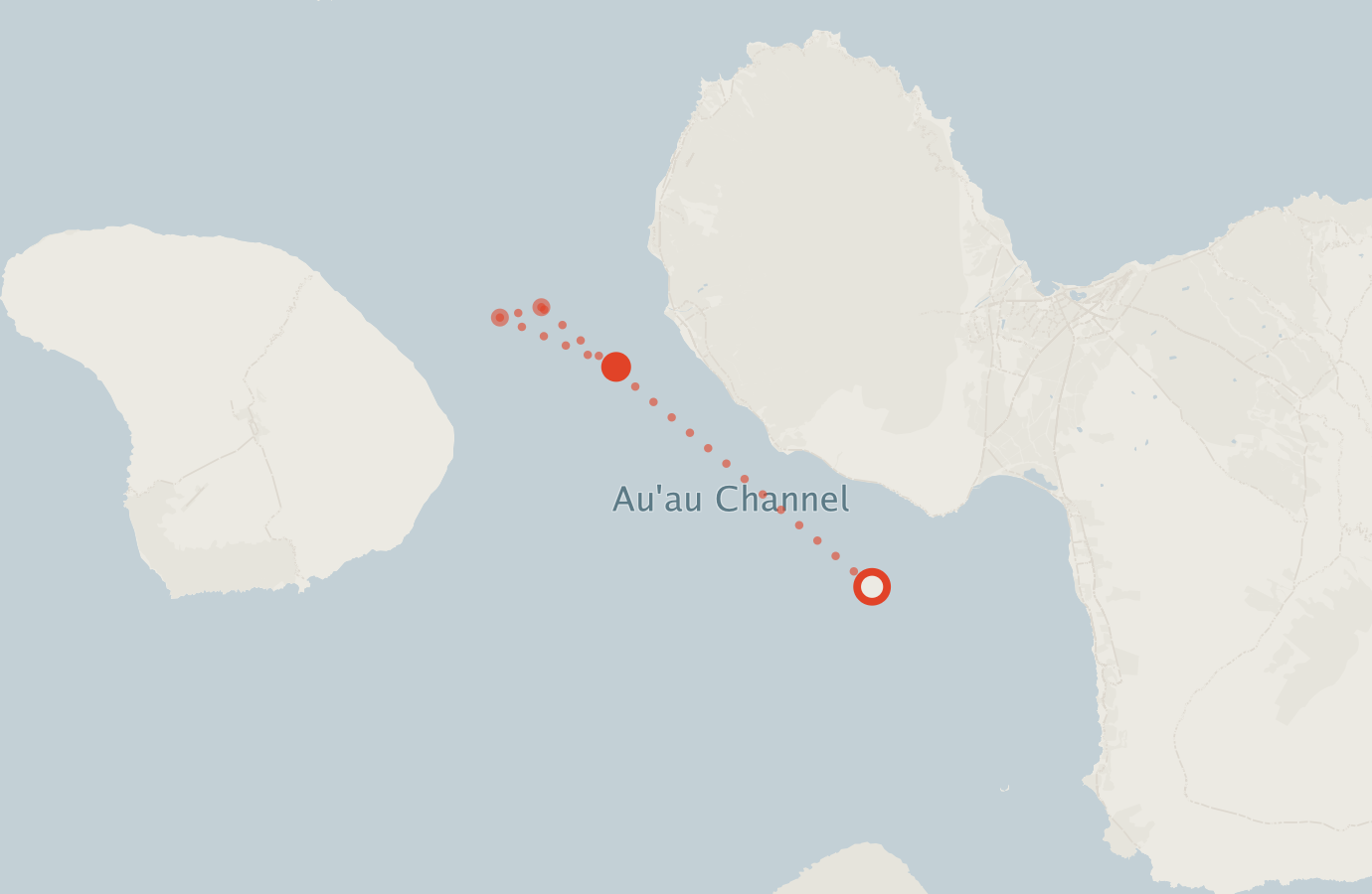 Activity map — real sighting points on an OpenStreetMap basemap