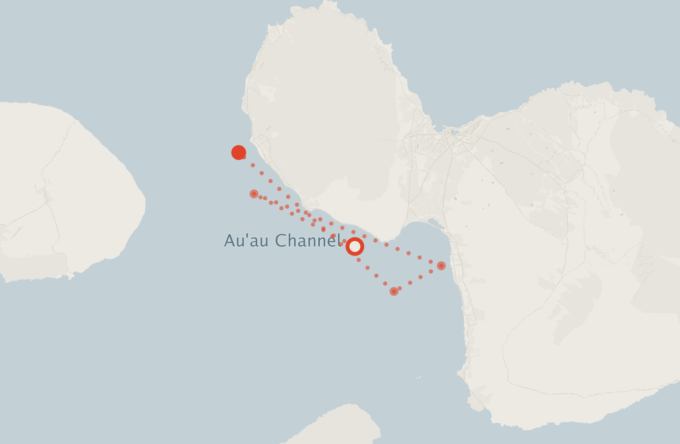 Activity map — real sighting points on an OpenStreetMap basemap