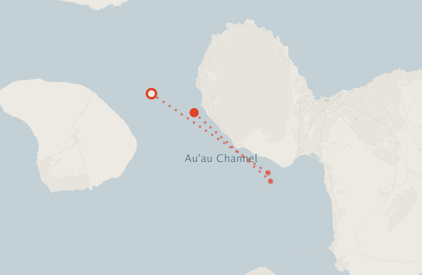 Activity map — real sighting points on an OpenStreetMap basemap
