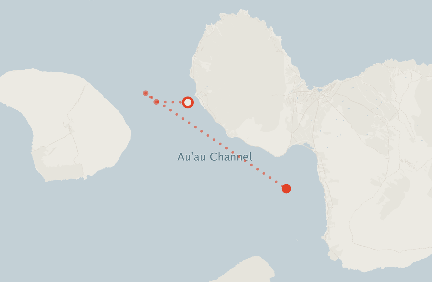 Activity map — real sighting points on an OpenStreetMap basemap