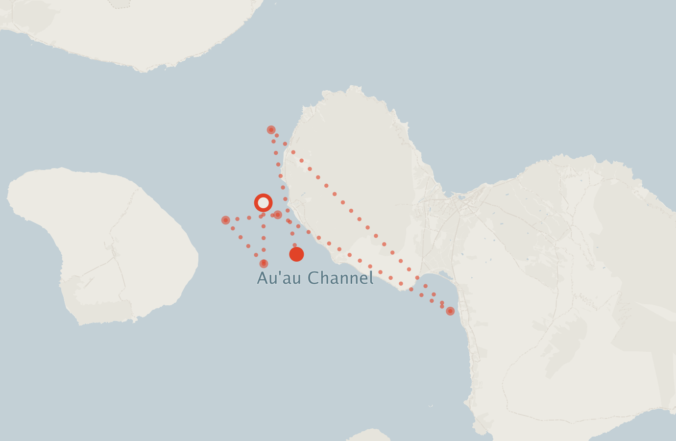 Activity map — real sighting points on an OpenStreetMap basemap