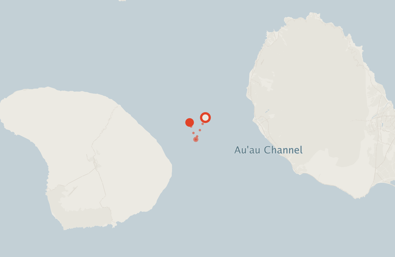 Activity map — real sighting points on an OpenStreetMap basemap