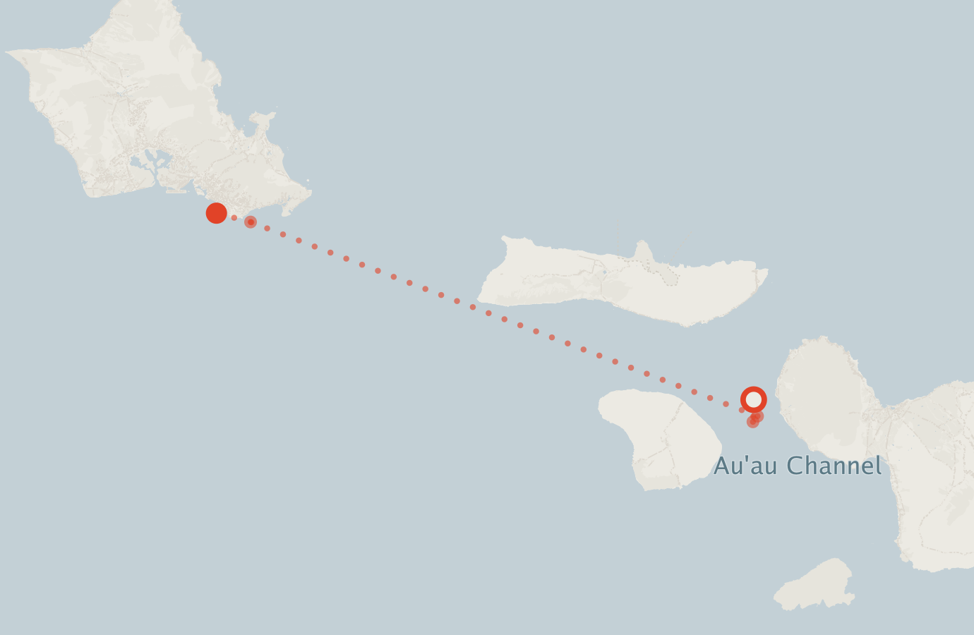 Activity map — real sighting points on an OpenStreetMap basemap